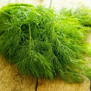 فروشندگان بهترین شوید خشک پفکی قم